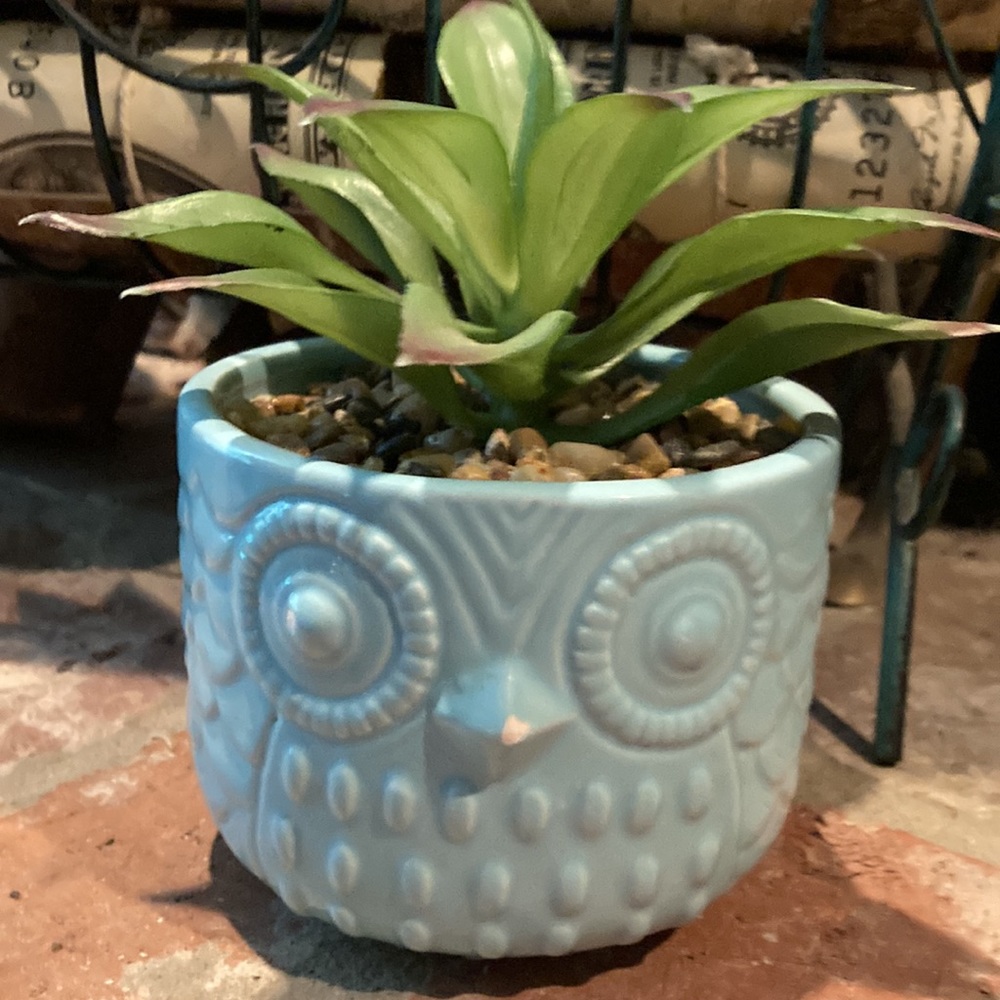 💖Host Pick💖Faux succulent plant & Owl Pot